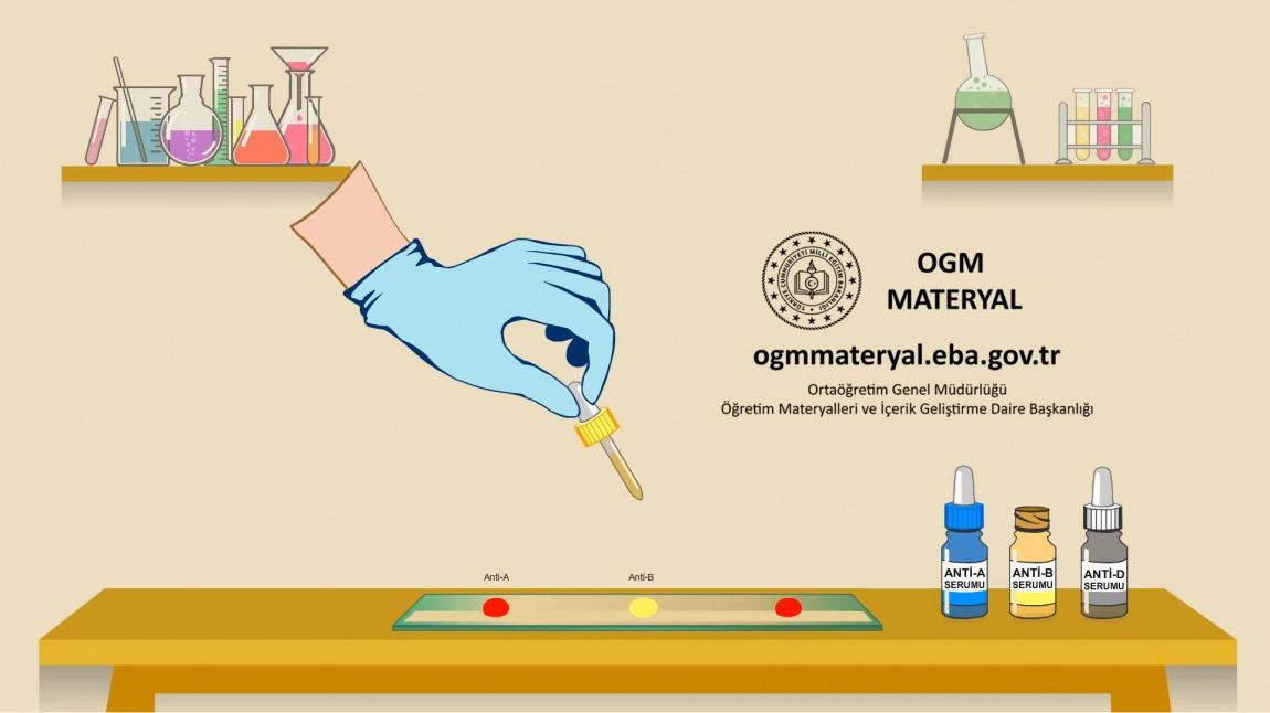 EBA - OGM Materyal Sitesi Kullanımda